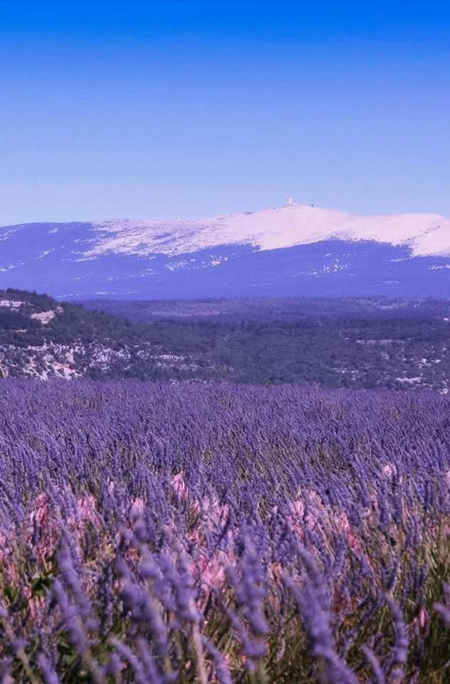 La Fee Viviane Et Michel L'Enchanteur Robion en Luberon Εξωτερικό φωτογραφία